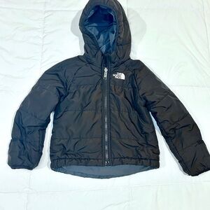 The North Face Hooded Puffer Jacket
